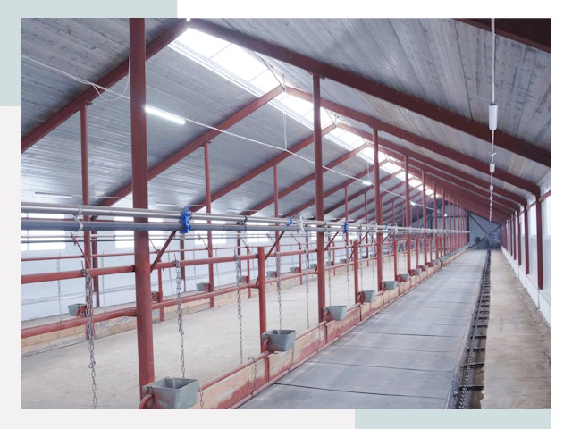 Строительство коровников в Твери от 652 руб.