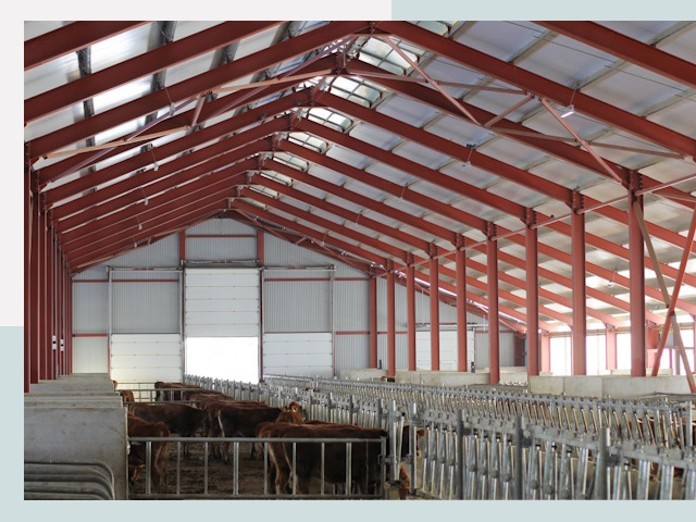 Строительство коровников в Твери